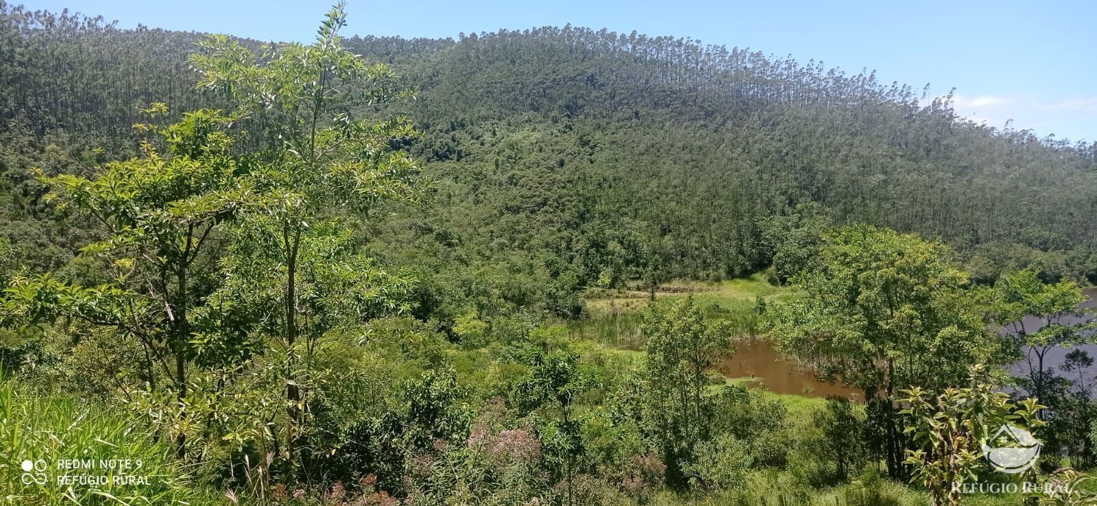 Fazenda à venda com 4 quartos, 1500400m² - Foto 28