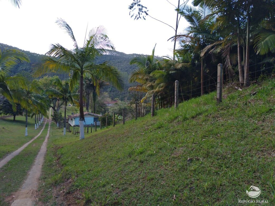 Fazenda à venda com 4 quartos, 1500400m² - Foto 33