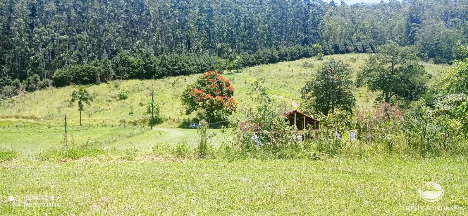 Fazenda à venda com 4 quartos, 1500400m² - Foto 9