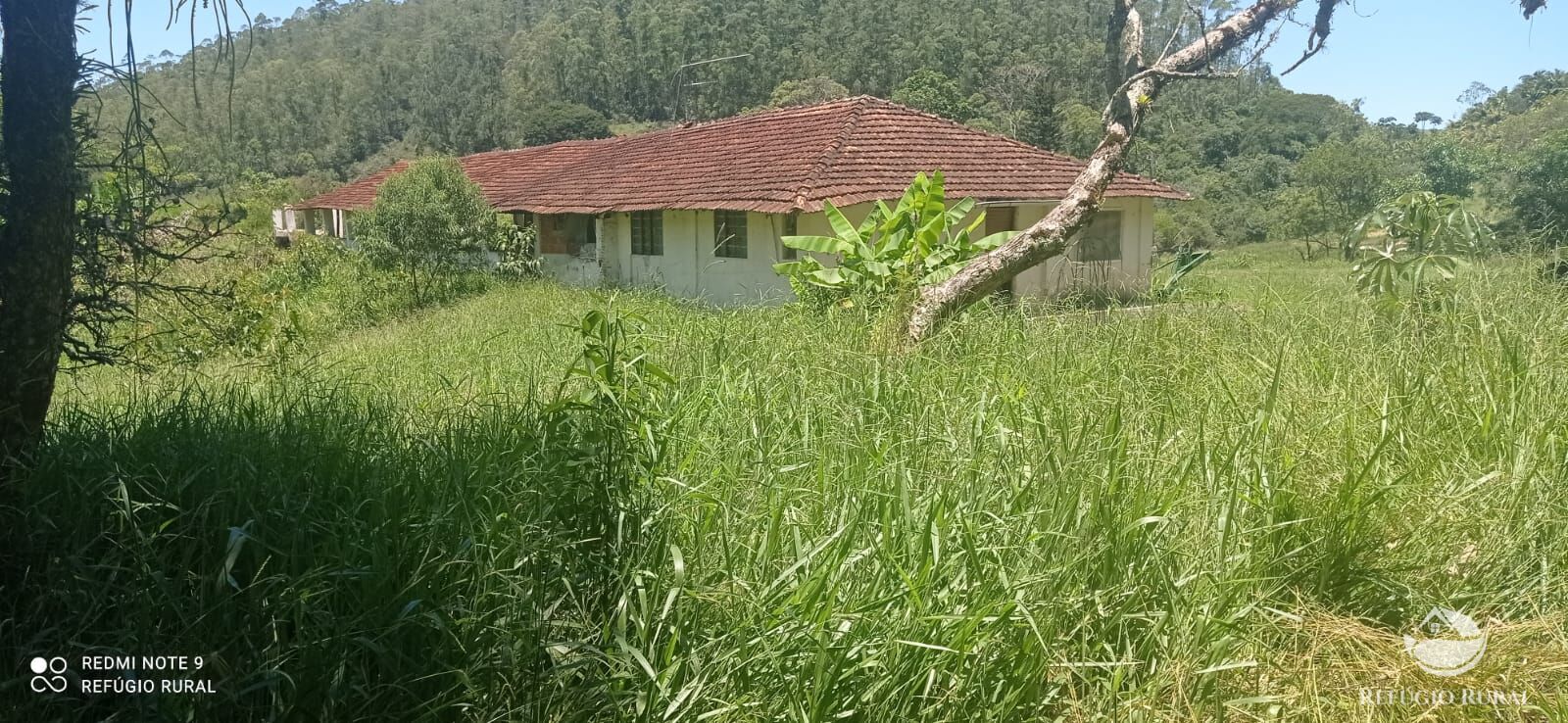 Fazenda à venda com 4 quartos, 1500400m² - Foto 11