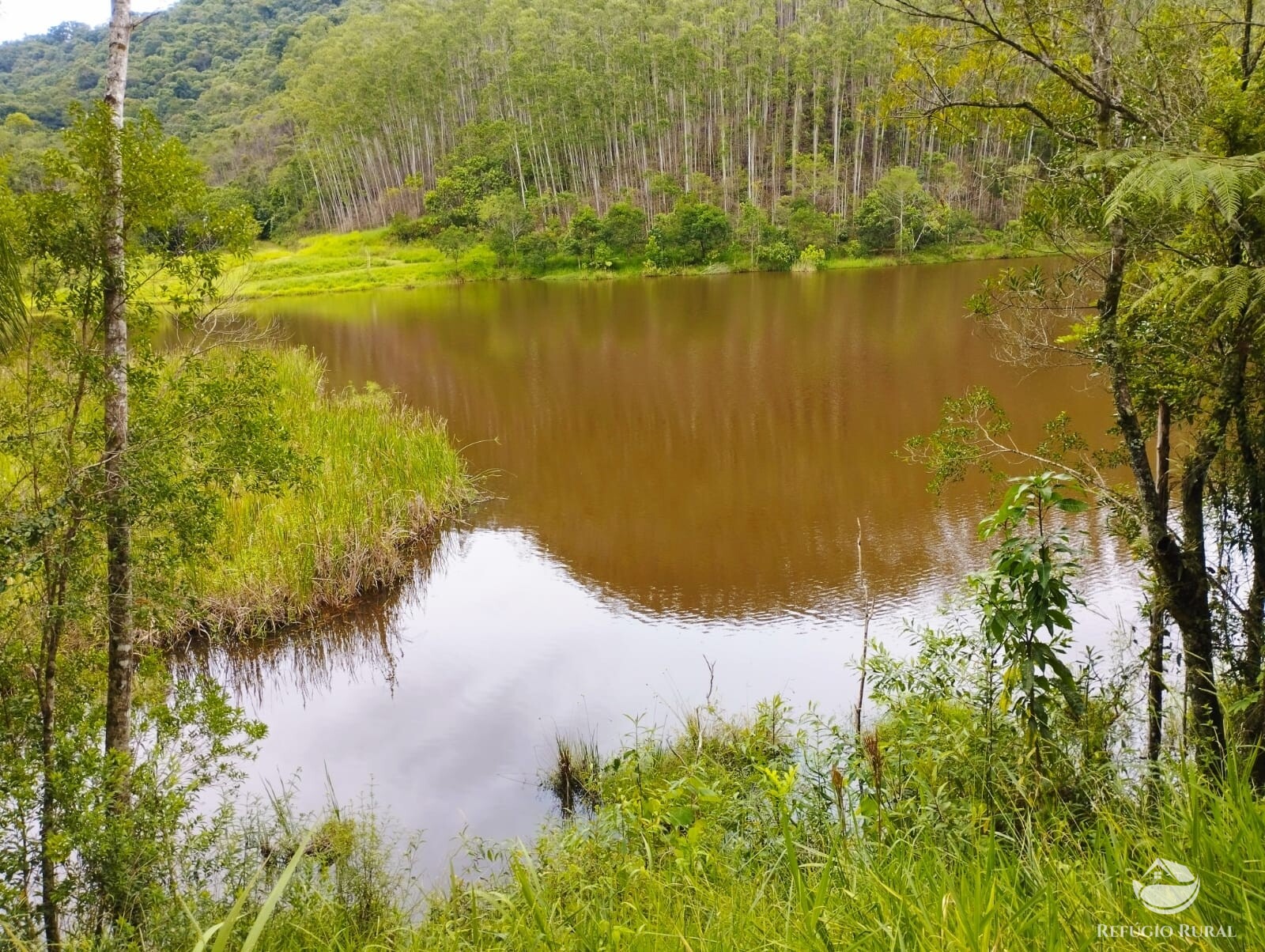 Fazenda à venda com 4 quartos, 1500400m² - Foto 40