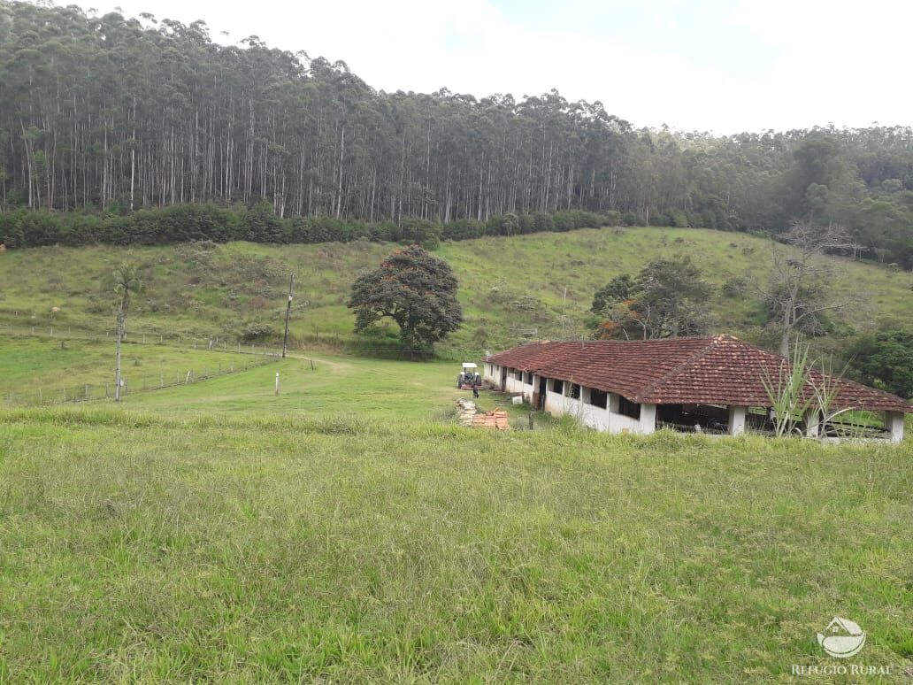 Fazenda à venda com 4 quartos, 1500400m² - Foto 35