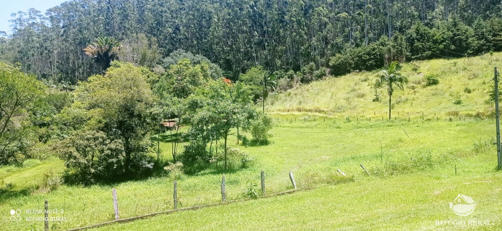 Fazenda à venda com 4 quartos, 1500400m² - Foto 23