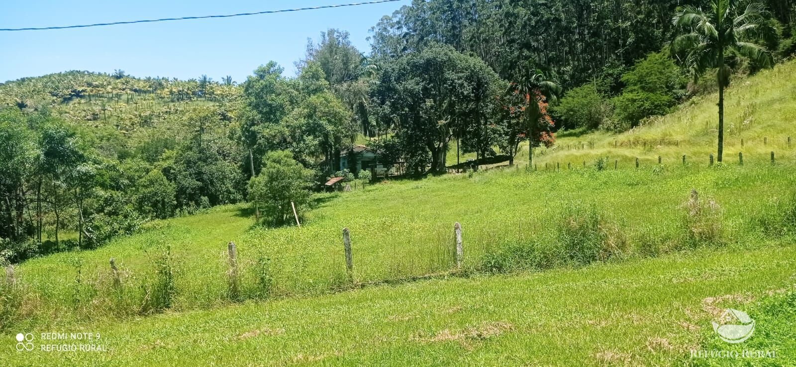 Fazenda à venda com 4 quartos, 1500400m² - Foto 21