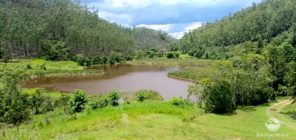 Fazenda à venda com 4 quartos, 1500400m² - Foto 2