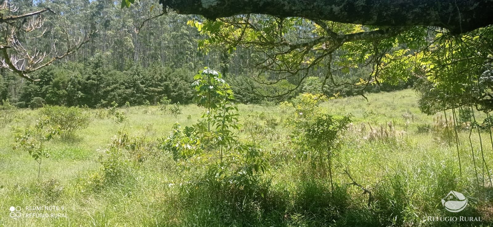 Fazenda à venda com 4 quartos, 1500400m² - Foto 19