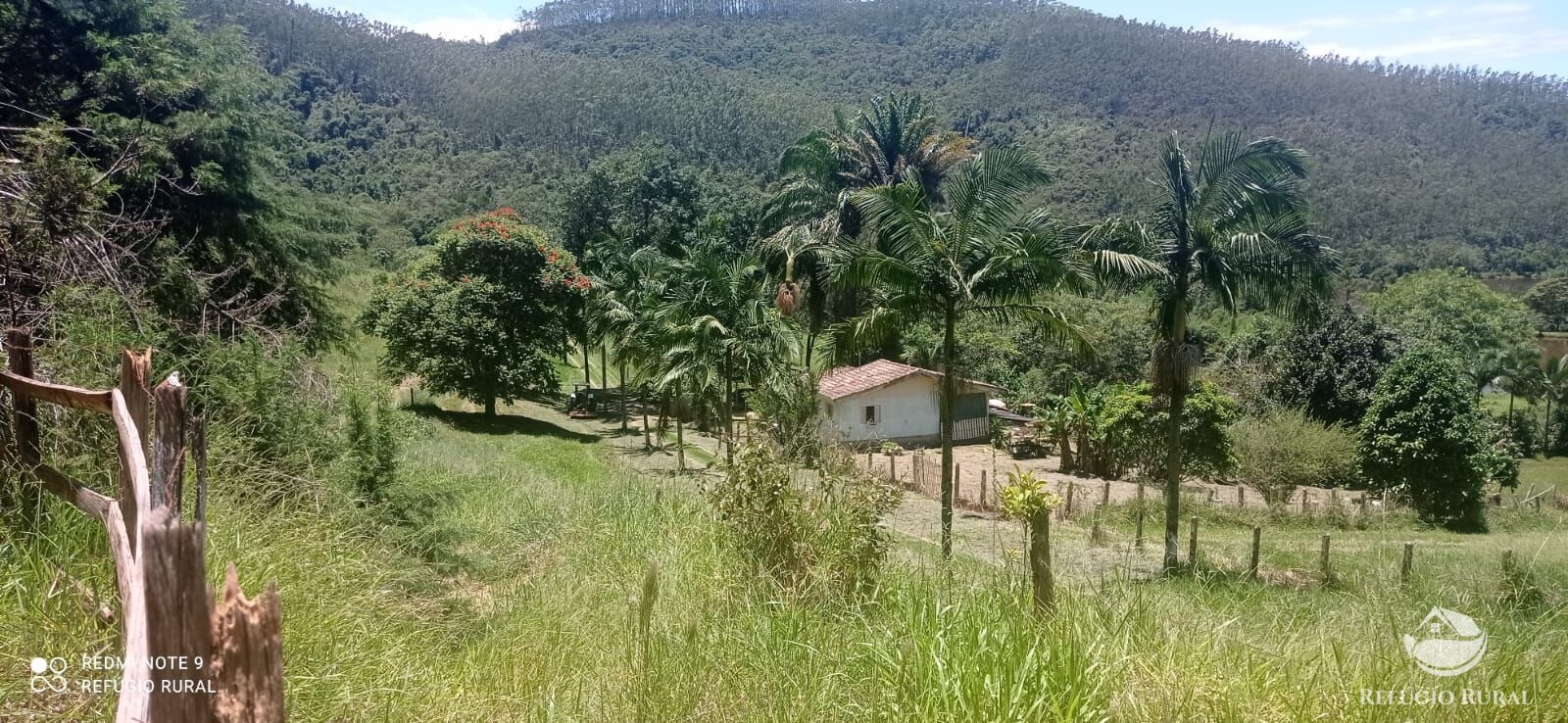 Fazenda à venda com 4 quartos, 1500400m² - Foto 6