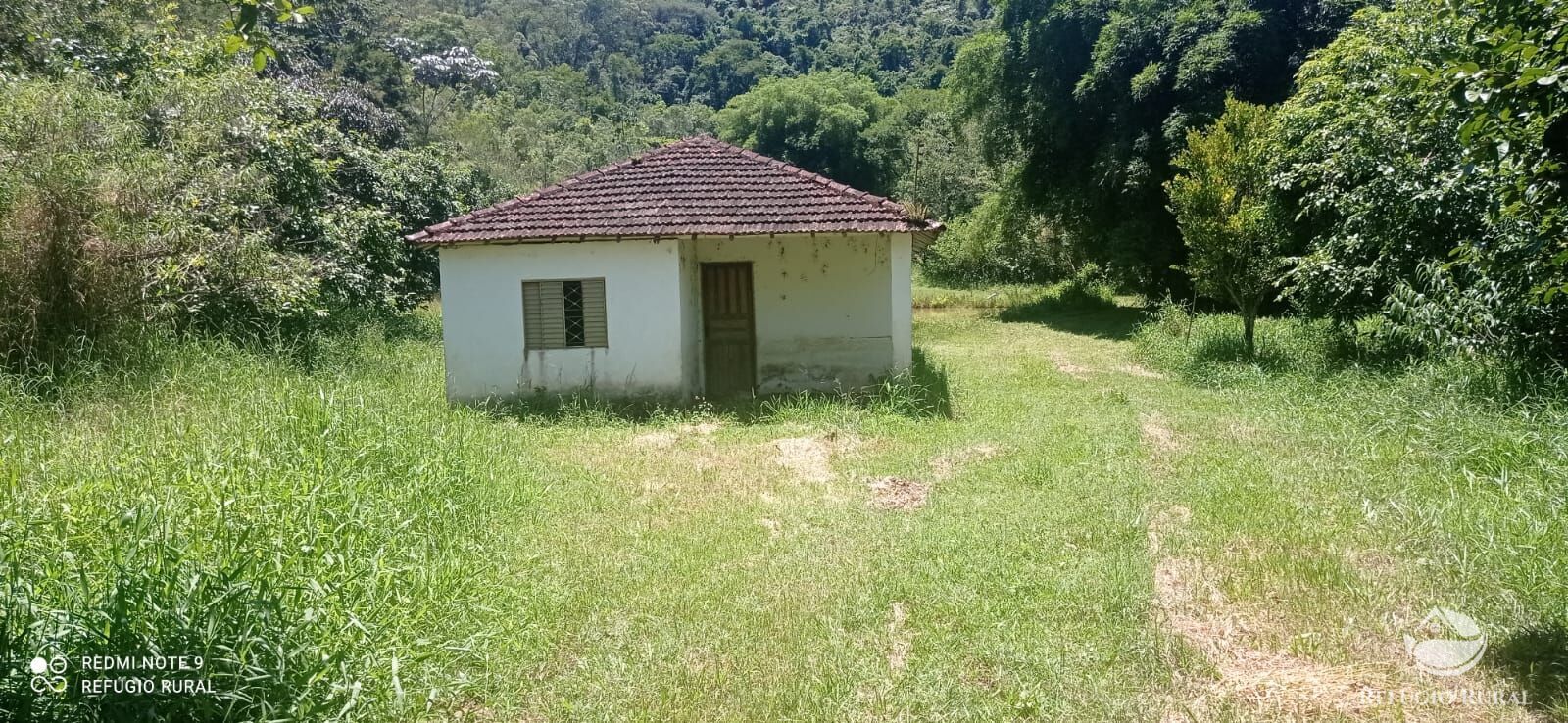 Fazenda à venda com 4 quartos, 1500400m² - Foto 18