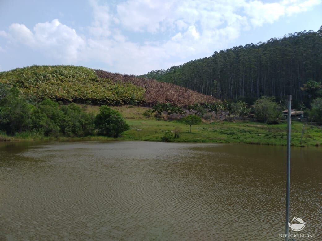 Fazenda à venda com 4 quartos, 1500400m² - Foto 34