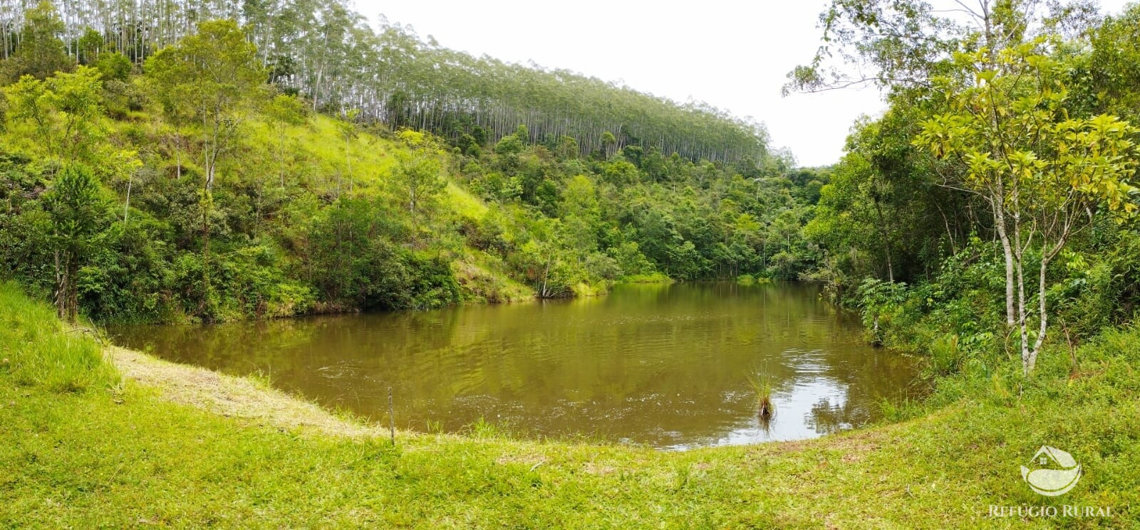 Fazenda à venda com 4 quartos, 1500400m² - Foto 37