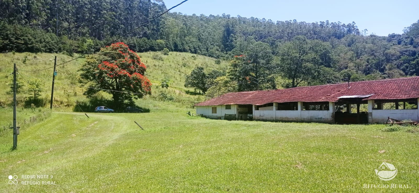 Fazenda à venda com 4 quartos, 1500400m² - Foto 13