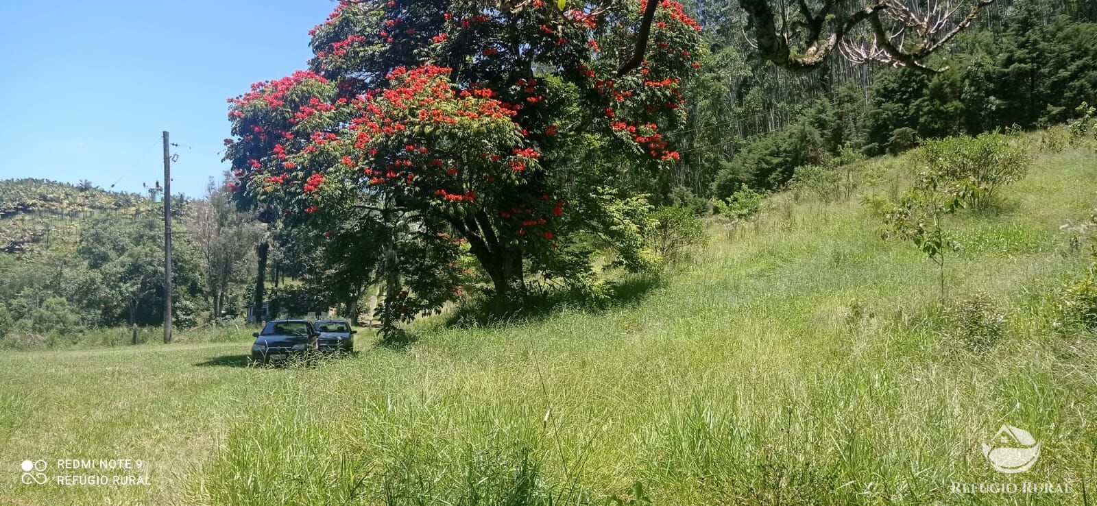 Fazenda à venda com 4 quartos, 1500400m² - Foto 20