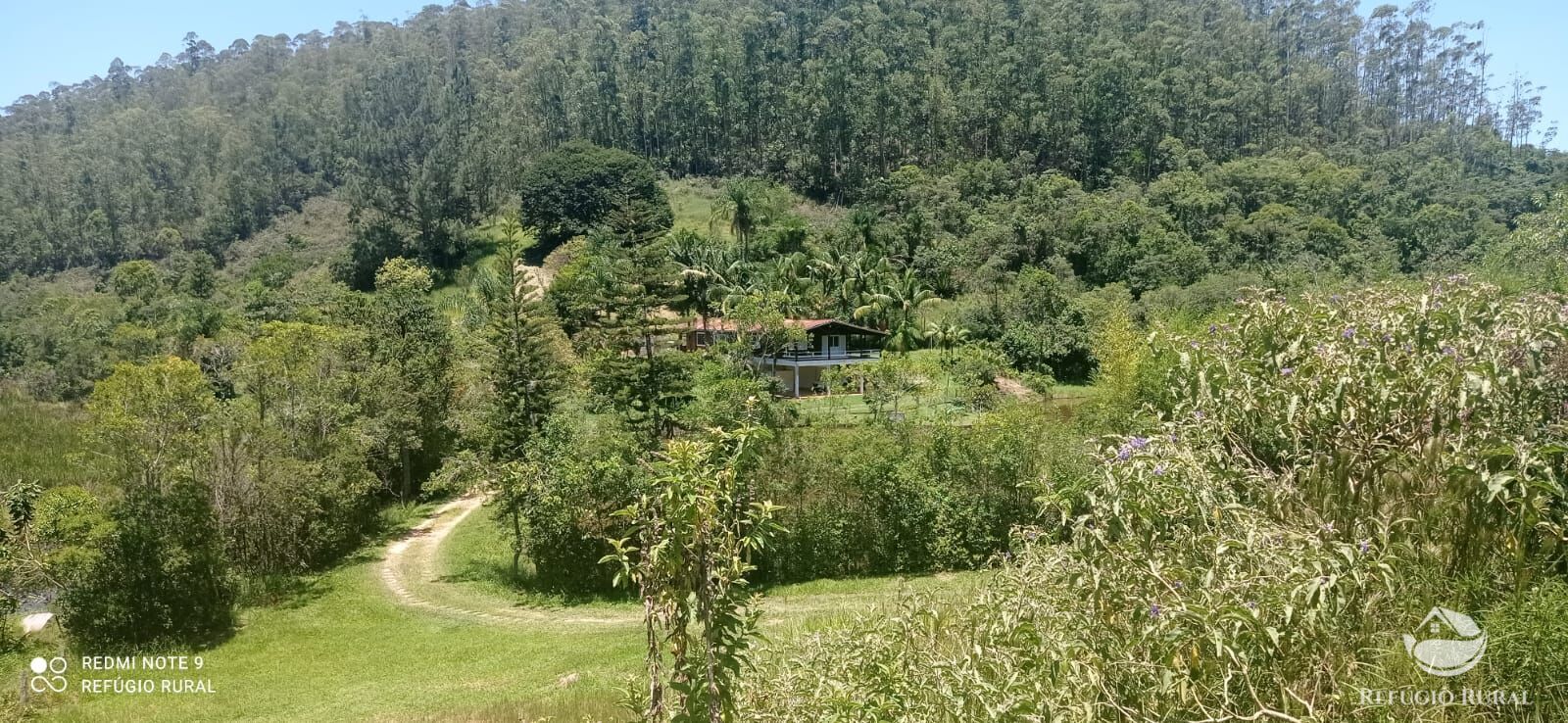 Fazenda à venda com 4 quartos, 1500400m² - Foto 10