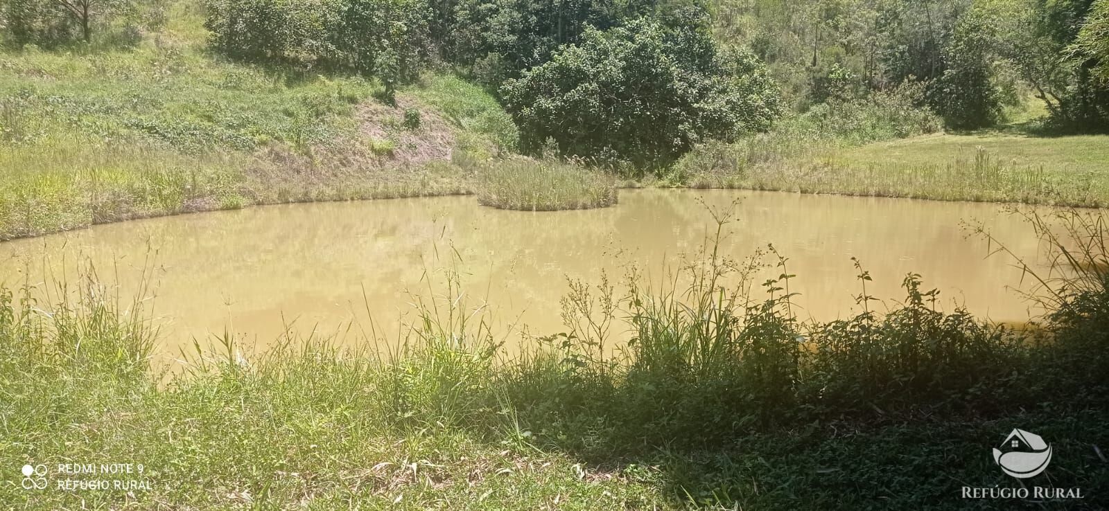 Fazenda à venda com 4 quartos, 1500400m² - Foto 14