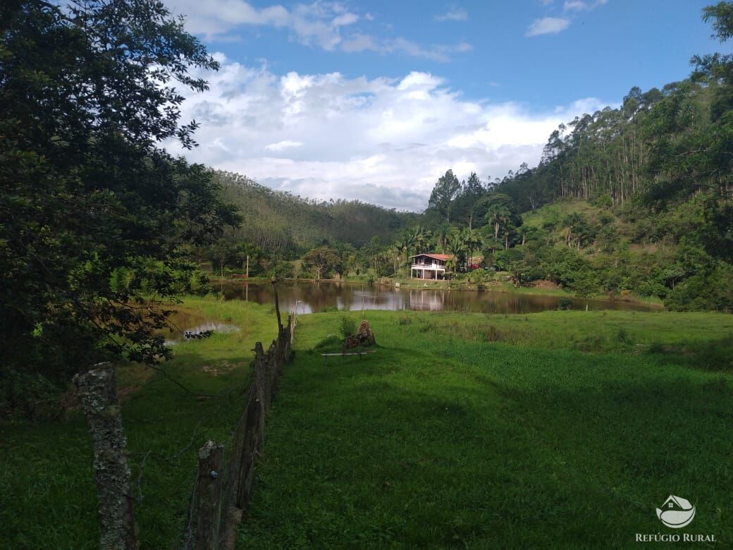 Fazenda à venda com 4 quartos, 1500400m² - Foto 7