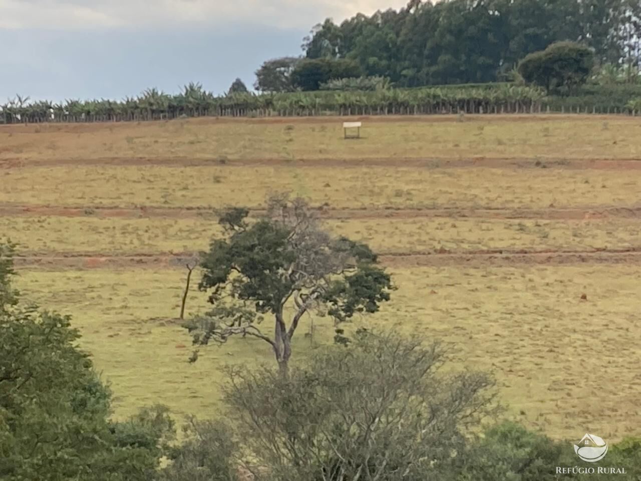 Fazenda à venda com 6 quartos, 938700m² - Foto 3