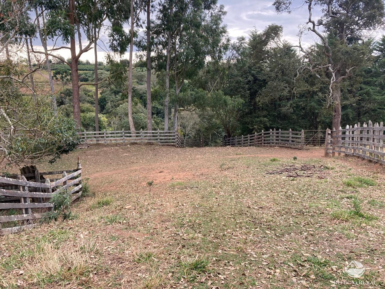 Fazenda à venda com 6 quartos, 938700m² - Foto 15