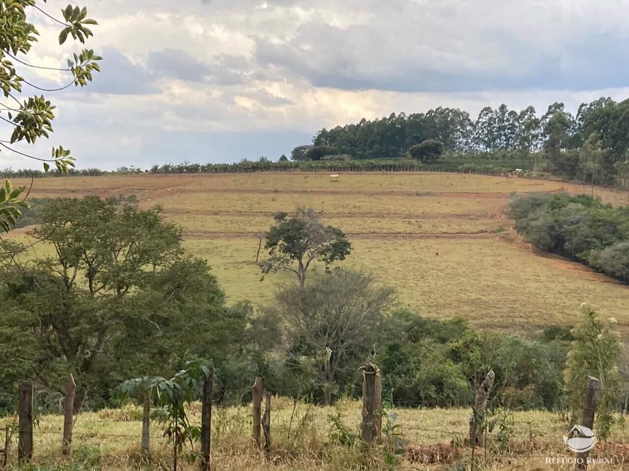 Fazenda à venda com 6 quartos, 938700m² - Foto 6