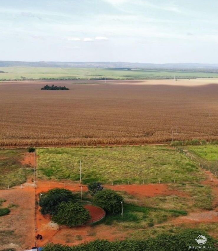 Fazenda em Paracatu/Minas Gerais — Ref DHUPK0 — Imagem 3