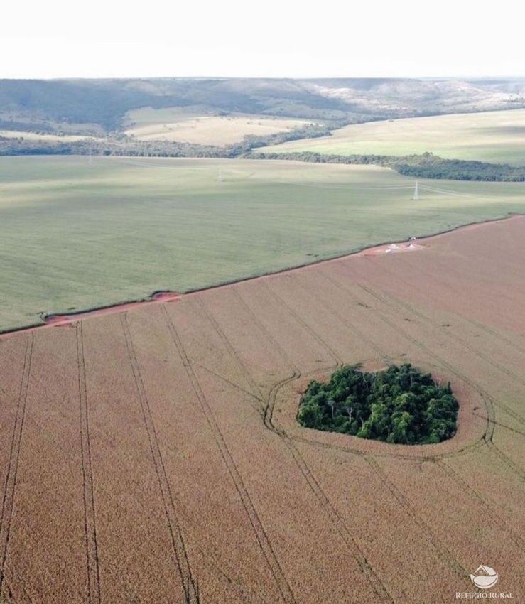 Fazenda em Paracatu/Minas Gerais — Ref DHUPK0 — Imagem 5