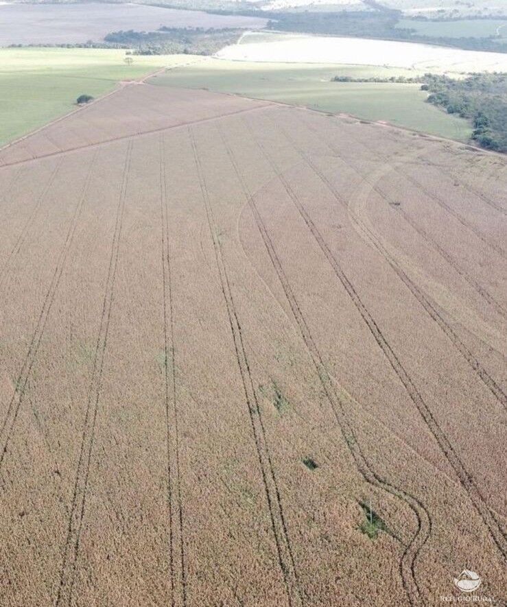 Fazenda em Paracatu/Minas Gerais — Ref DHUPK0 — Imagem 6