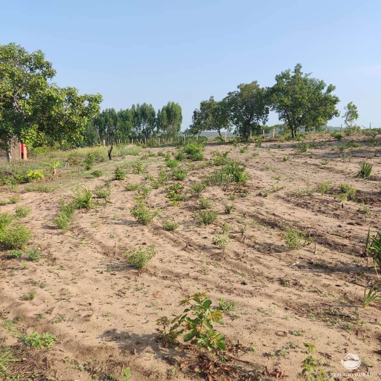 Fazenda à venda com 1 quarto, 1520000m² - Foto 2