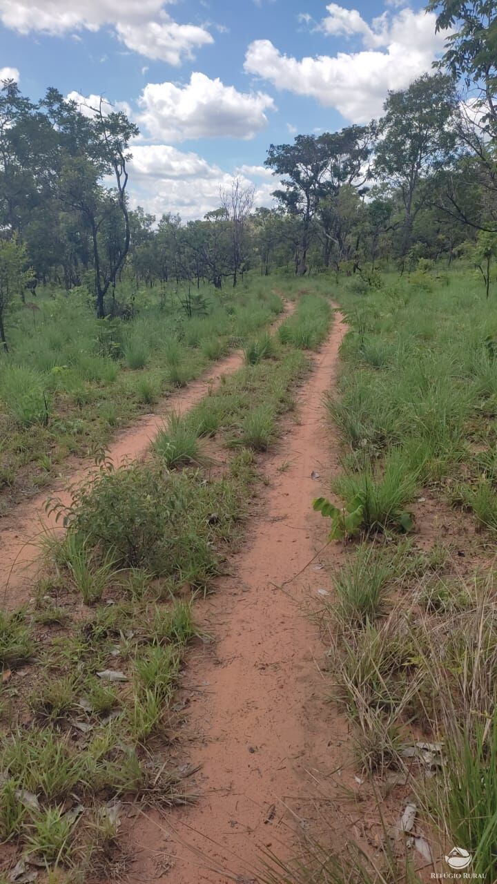 Fazenda à venda com 1 quarto, 1520000m² - Foto 5