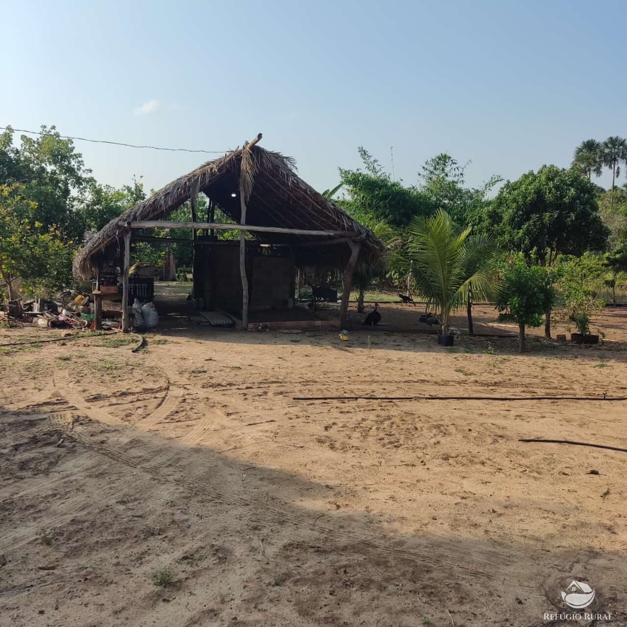 Fazenda à venda com 1 quarto, 1520000m² - Foto 8