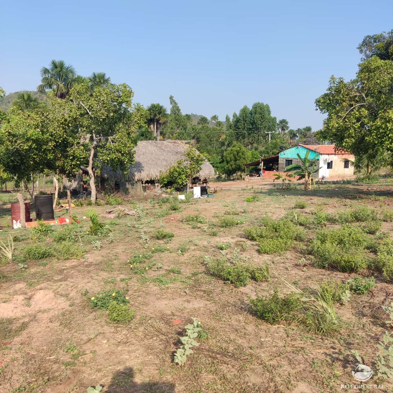 Fazenda à venda com 1 quarto, 1520000m² - Foto 10