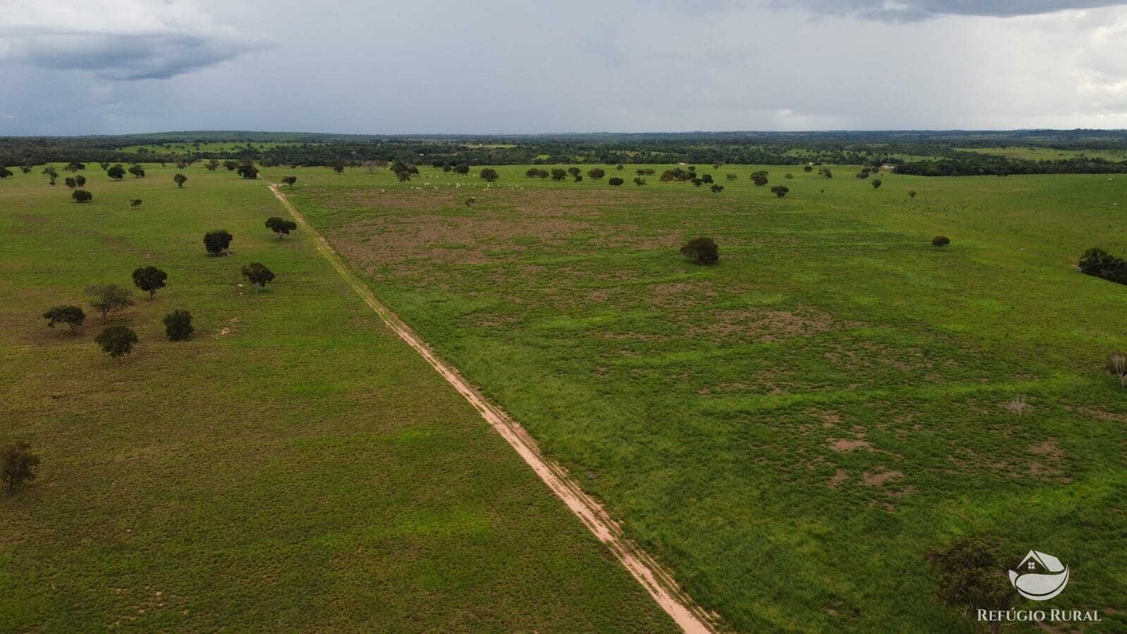 Fazenda à venda com 1 quarto, 15630000m² - Foto 16