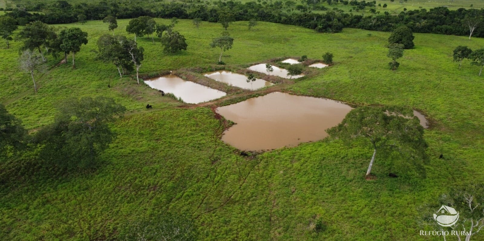 Fazenda à venda com 1 quarto, 15630000m² - Foto 10