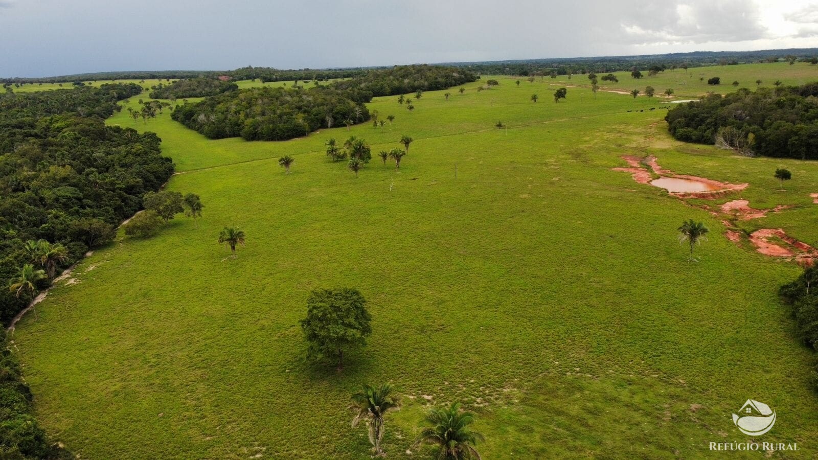 Fazenda à venda com 1 quarto, 15630000m² - Foto 17