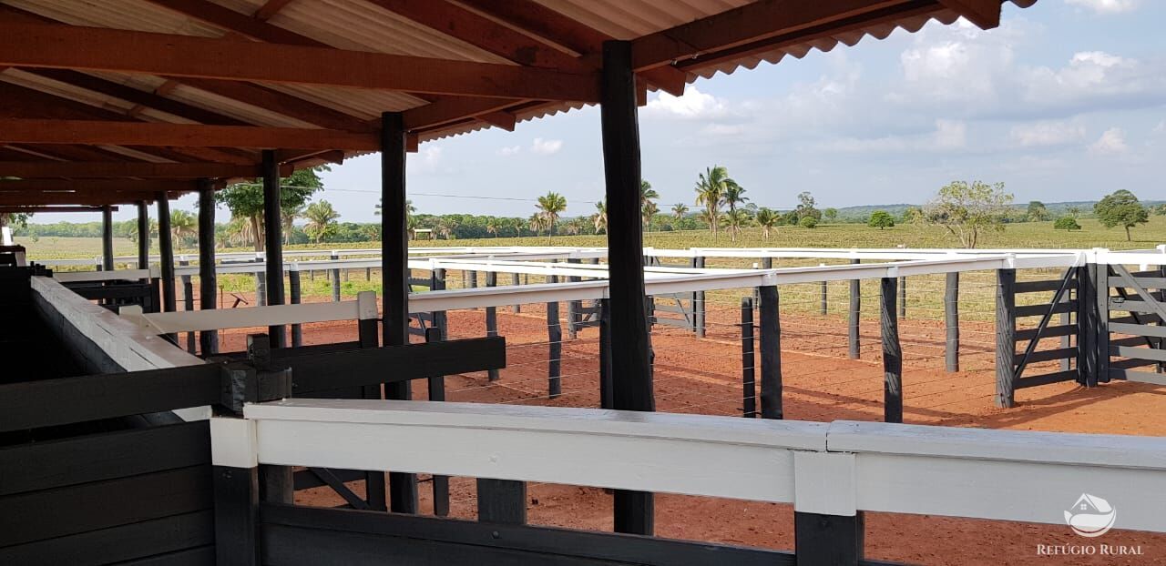 Fazenda à venda com 1 quarto, 15630000m² - Foto 32