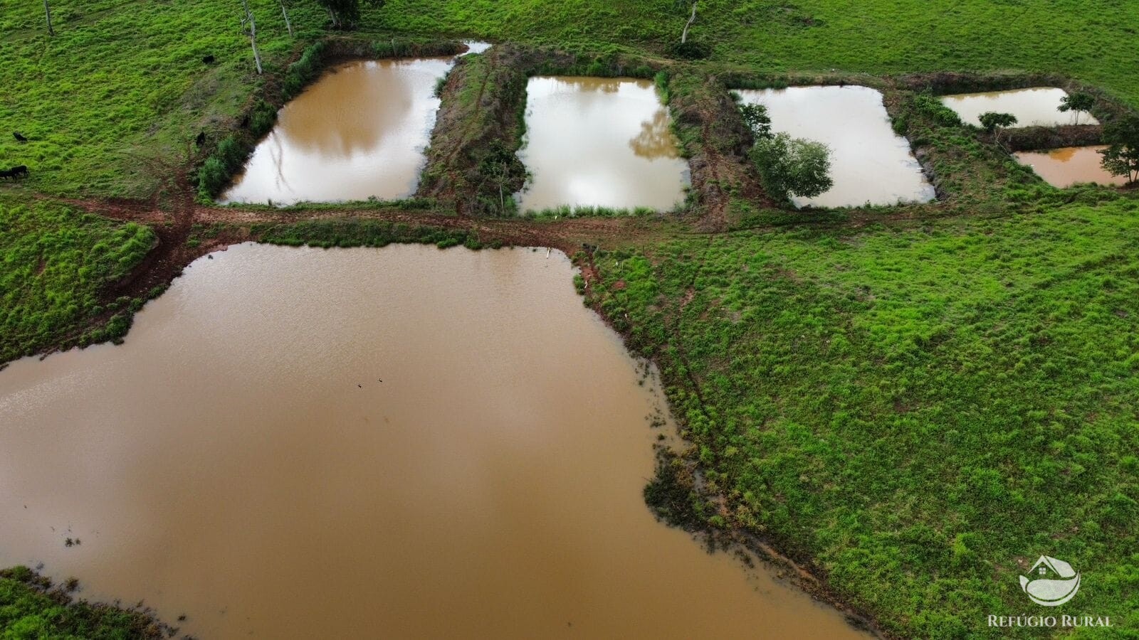 Fazenda à venda com 1 quarto, 15630000m² - Foto 6