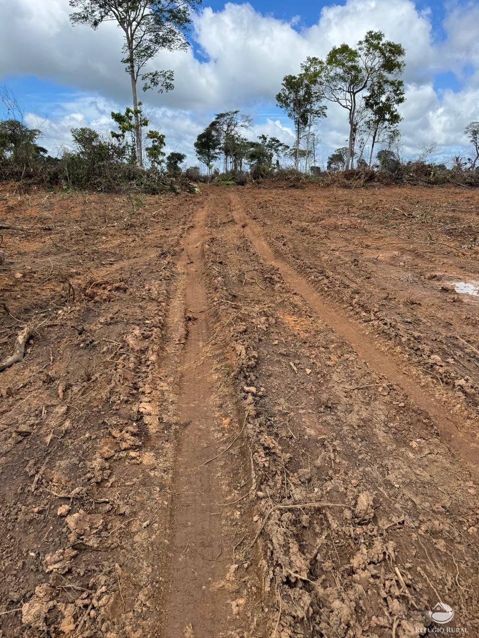 Fazenda-Sítio-Chácara, 2995 hectares - Foto 10