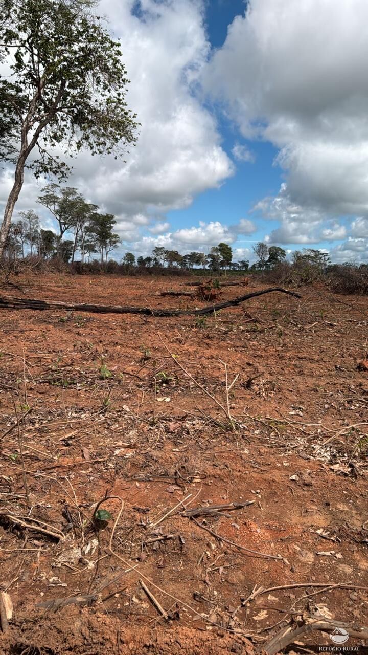 Fazenda-Sítio-Chácara, 2995 hectares - Foto 9