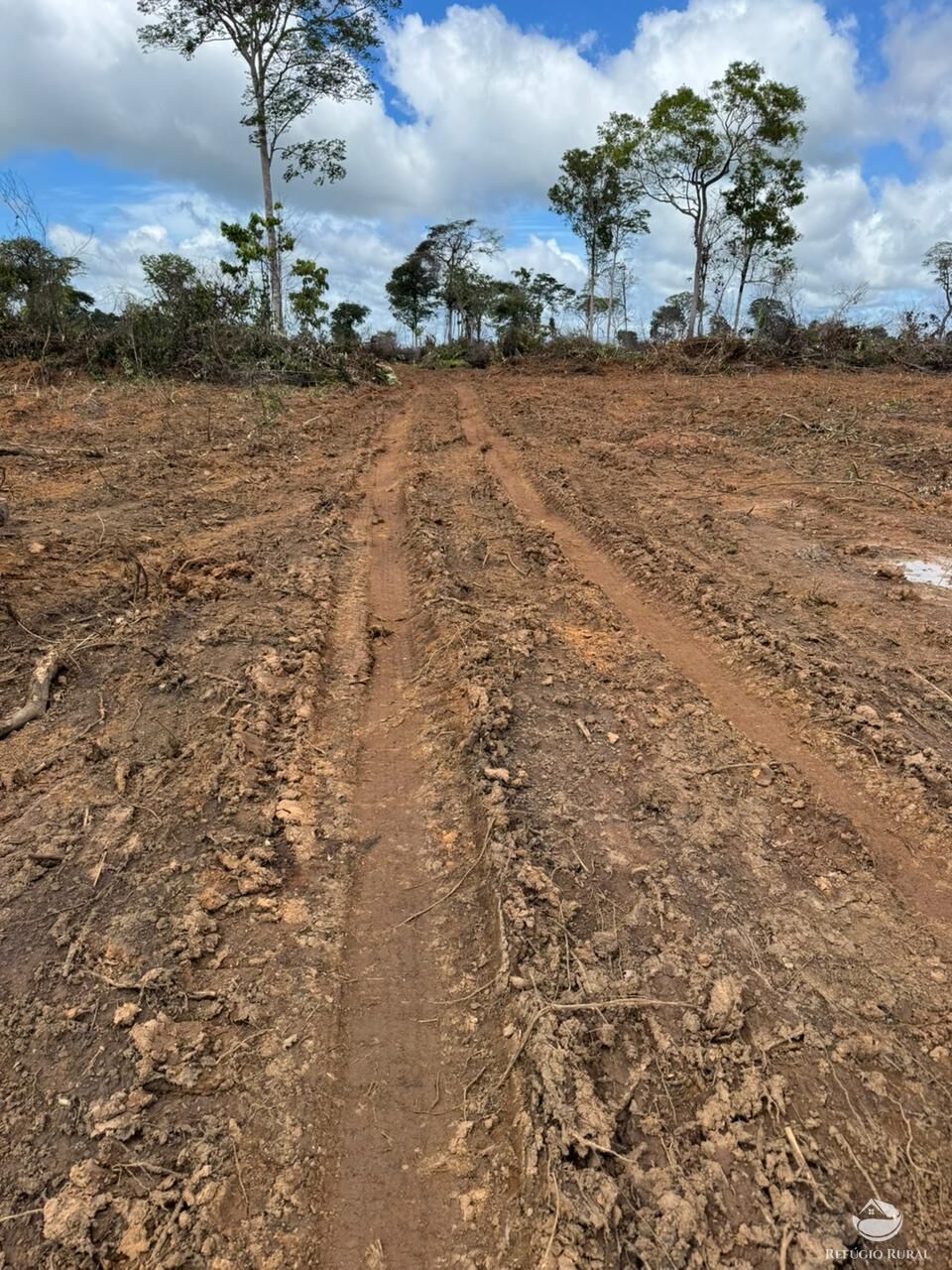 Fazenda-Sítio-Chácara, 2995 hectares - Foto 12