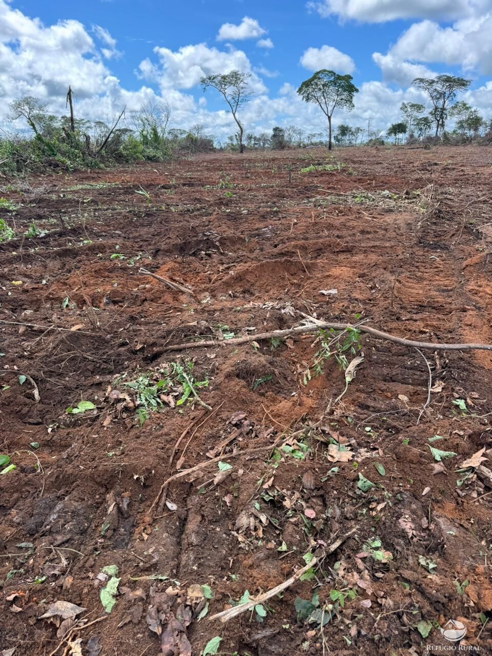 Fazenda-Sítio-Chácara, 2995 hectares - Foto 7
