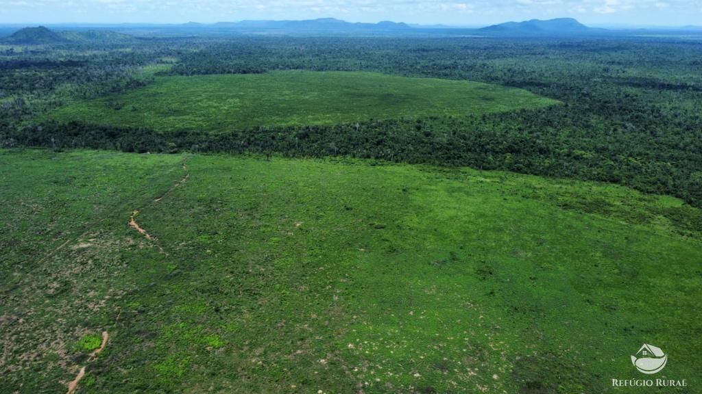 Fazenda-Sítio-Chácara, 2995 hectares - Foto 5