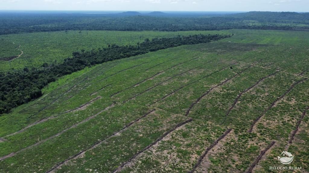 Fazenda-Sítio-Chácara, 2995 hectares - Foto 4