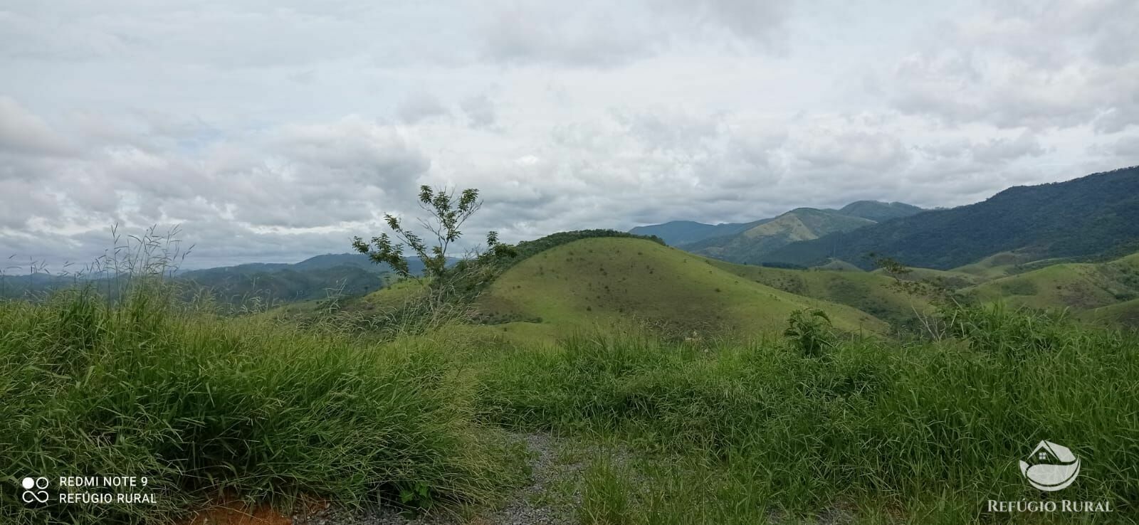 Terreno à venda, 20000m² - Foto 15