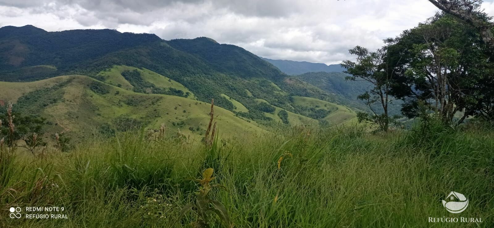 Terreno à venda, 20000m² - Foto 5