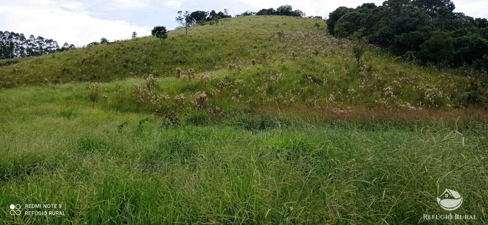 Terreno à venda, 20000m² - Foto 9