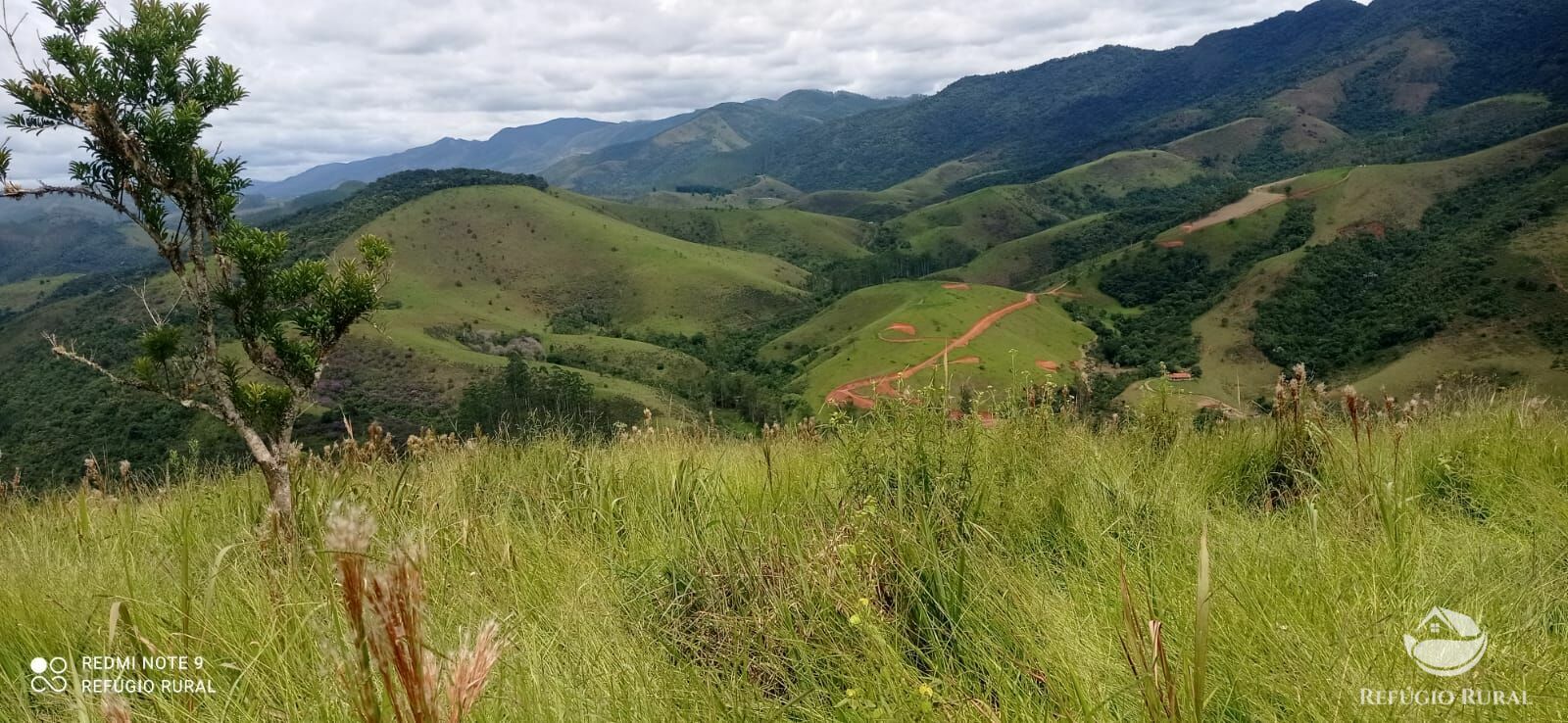 Terreno à venda, 20000m² - Foto 3