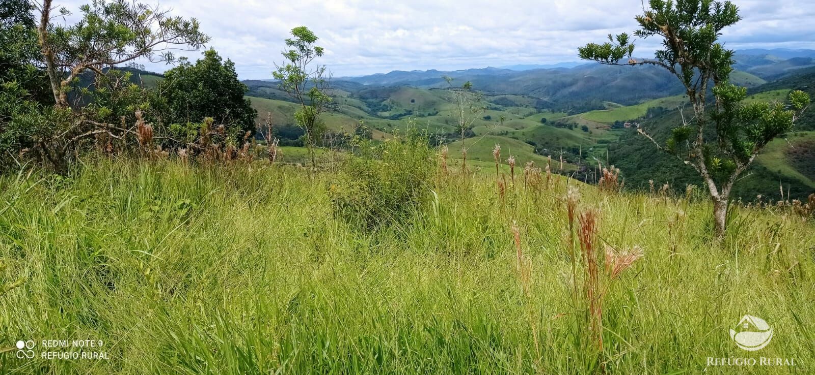 Terreno à venda, 20000m² - Foto 4