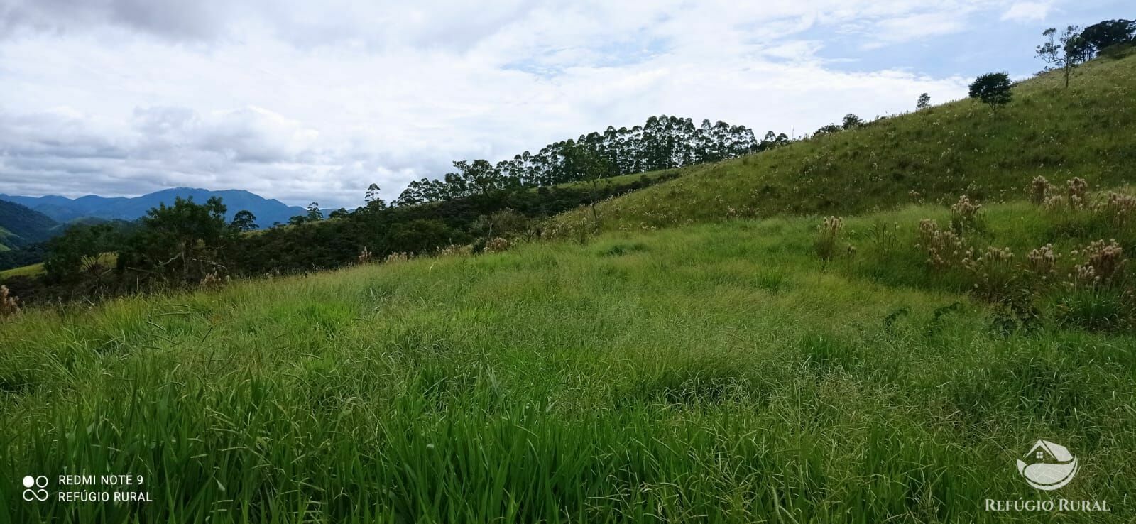 Terreno à venda, 20000m² - Foto 13