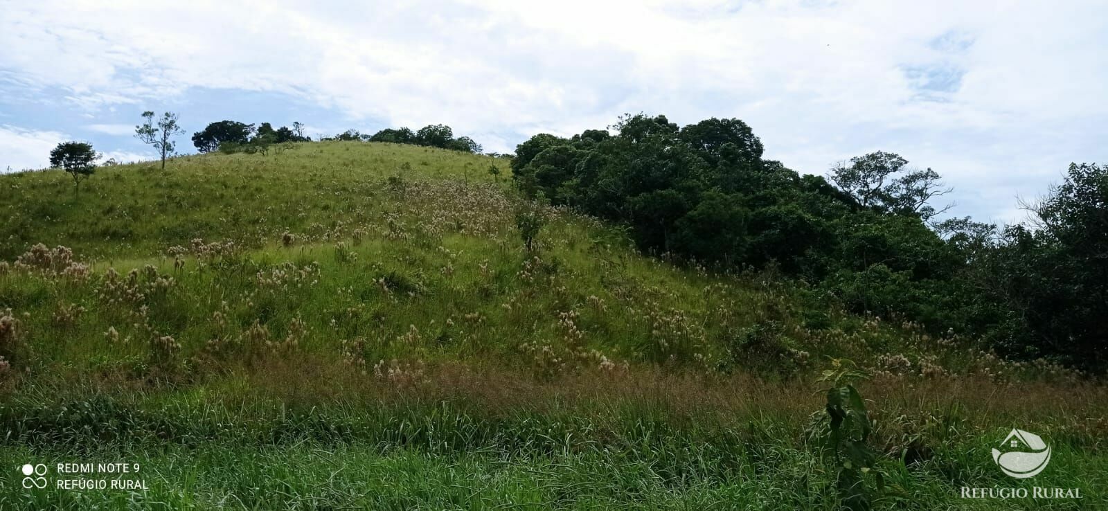 Terreno à venda, 20000m² - Foto 17