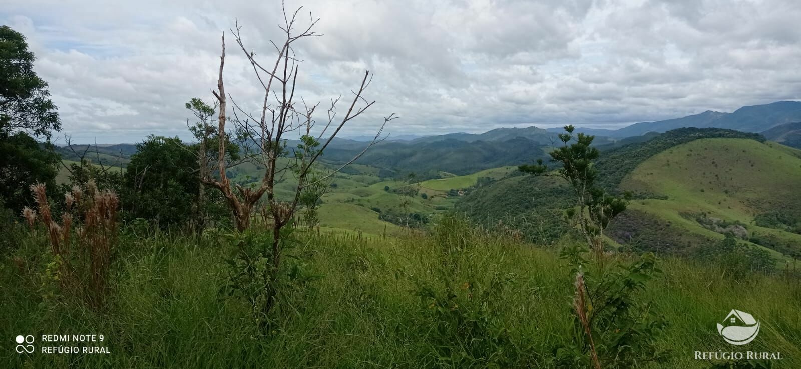 Terreno à venda, 20000m² - Foto 8