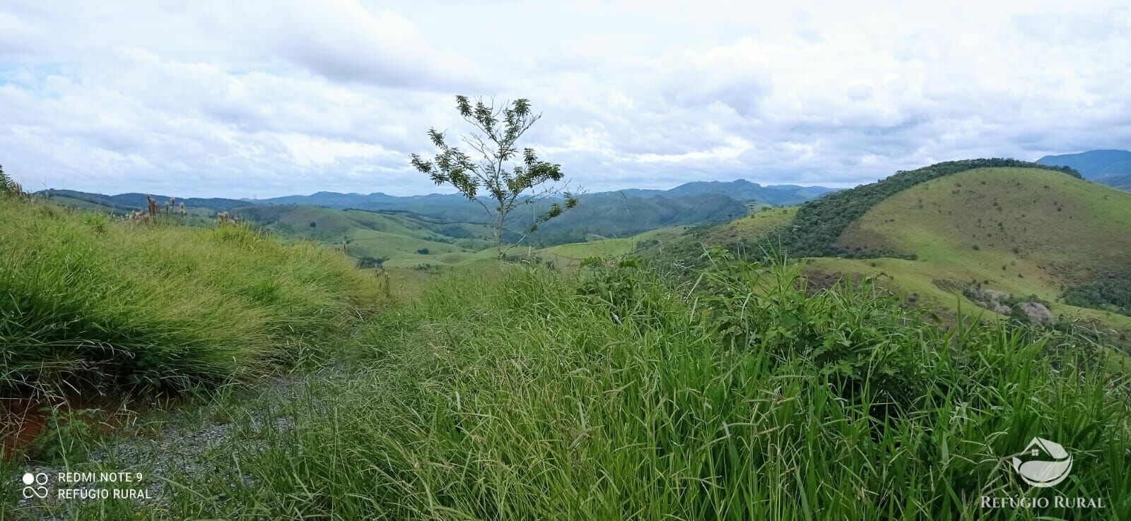 Terreno à venda, 20000m² - Foto 14