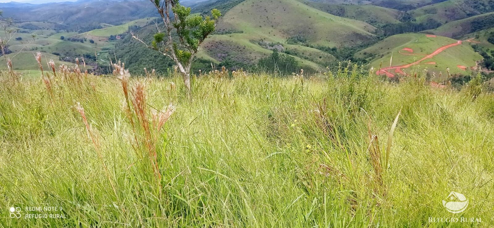 Terreno à venda, 20000m² - Foto 6